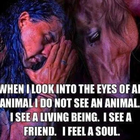 Meet the Posher Other - Meet your Posher, Cheryl